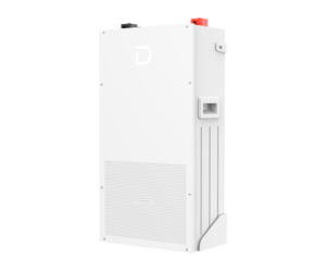 Dyness PowerBrick Plus — 16 kWh